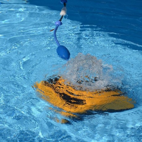 Bazénový vysavač MAYTRONICS Dolphin W 20